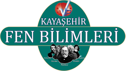 VİP Kayaşehir Fen Bilimleri Hazırlık Kursları